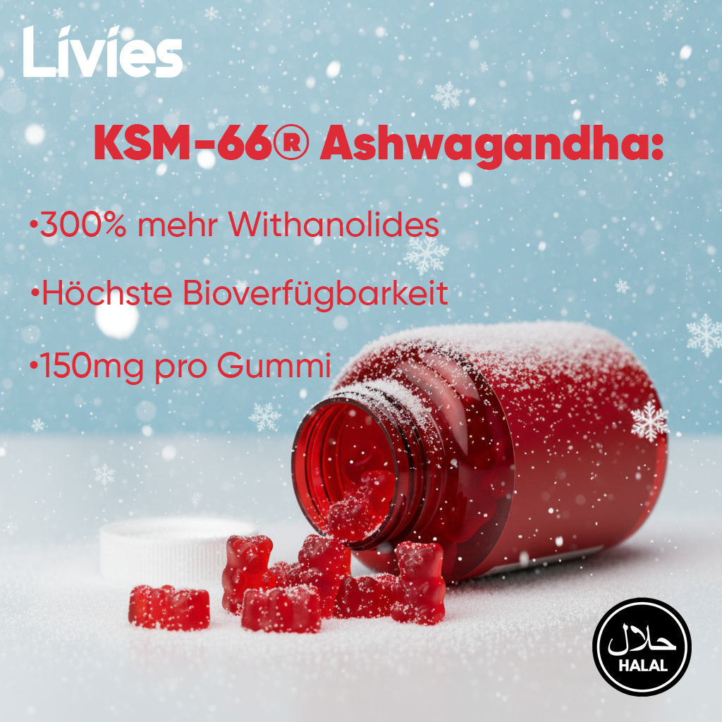 Livies Weihnachts Bundle