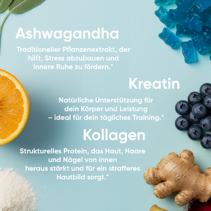 Livies Weihnachts Bundle